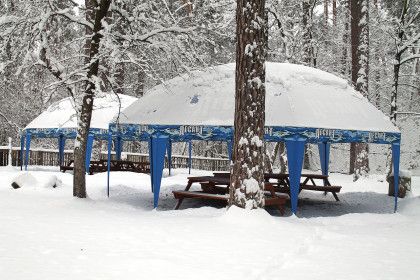 Зимние эскизы - фото 4