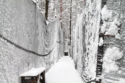 Зимние эскизы - фото 7