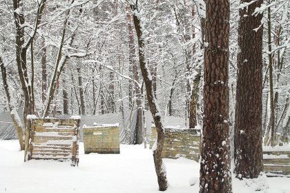 Зимние эскизы - фото 8